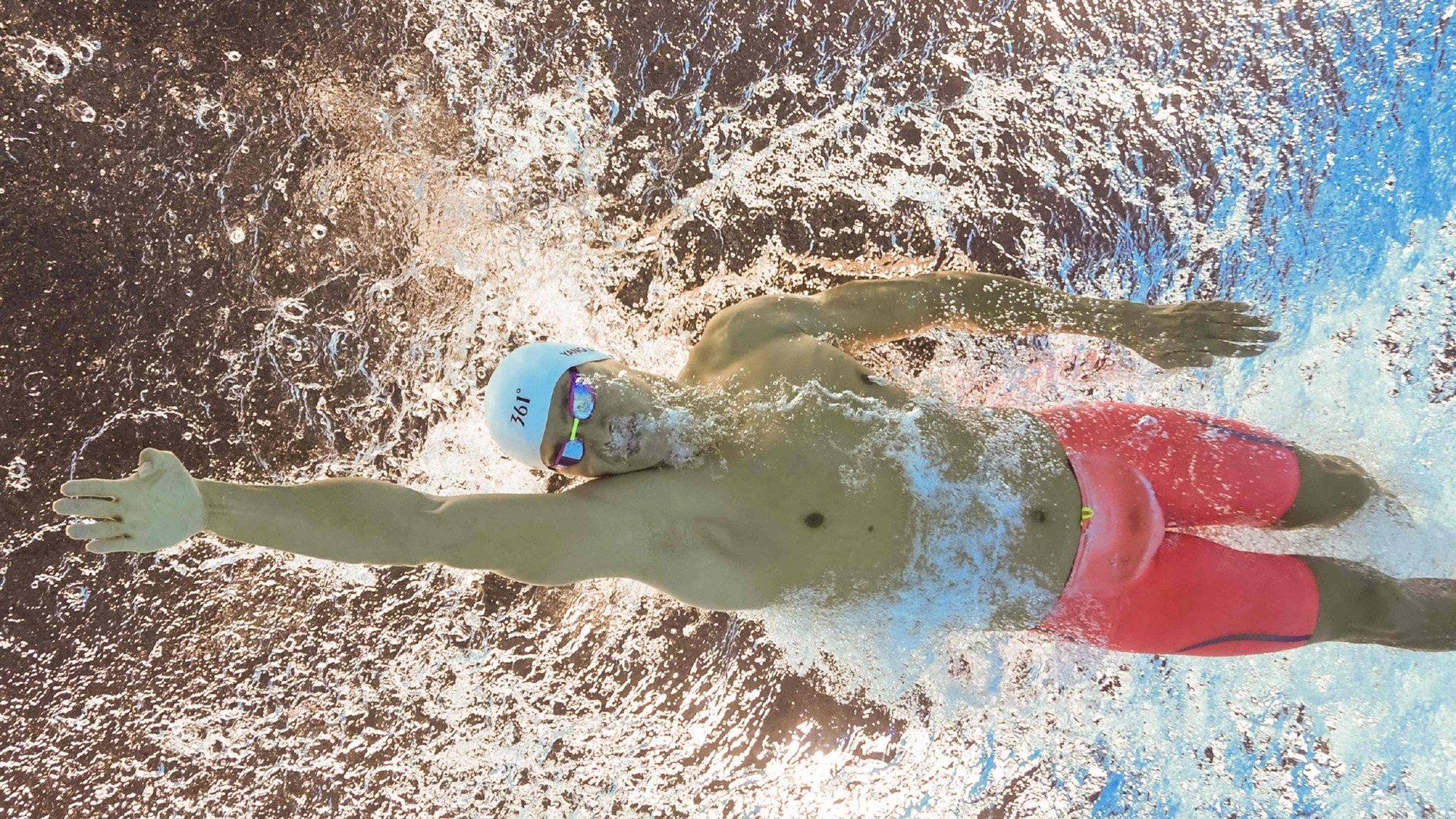 绿色能源车队:环保科技助推冠军梦想,“绿色”能源