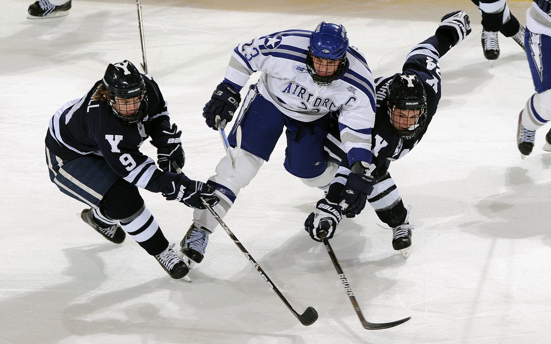 女子橄榄球迈向职业化新时代,女子橄榄球队