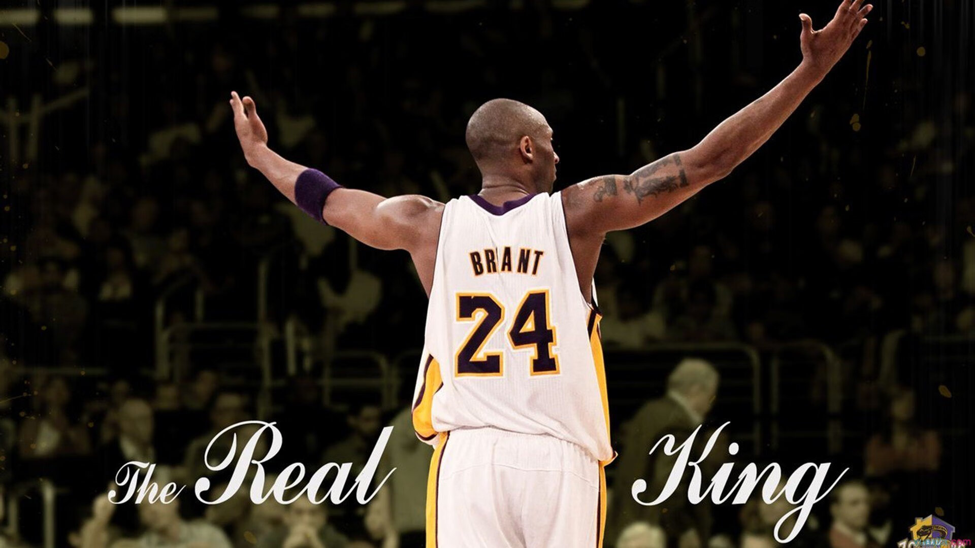 AYX GAMING-布鲁诺·卡博克洛在NBA夏季联赛中表现亮眼，布鲁诺-卡博克洛